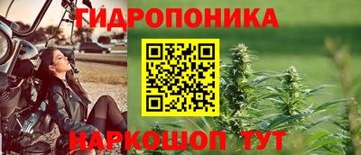 трава Северобайкальск