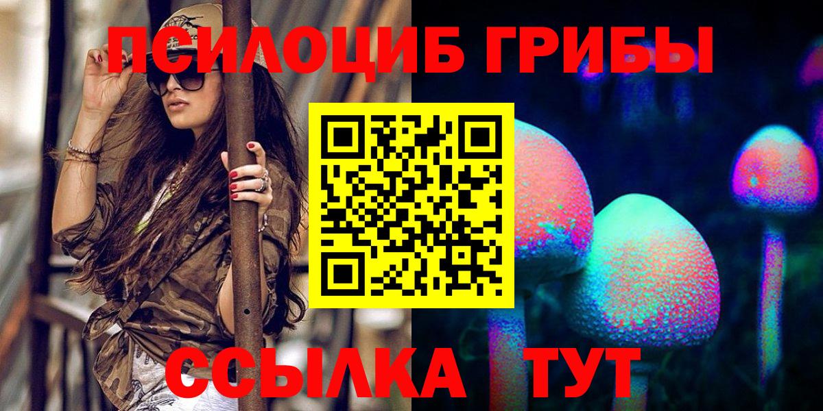 Новодвинск  Псилоцибиновые грибы GOLDEN TEACHER  Вход с VPN 